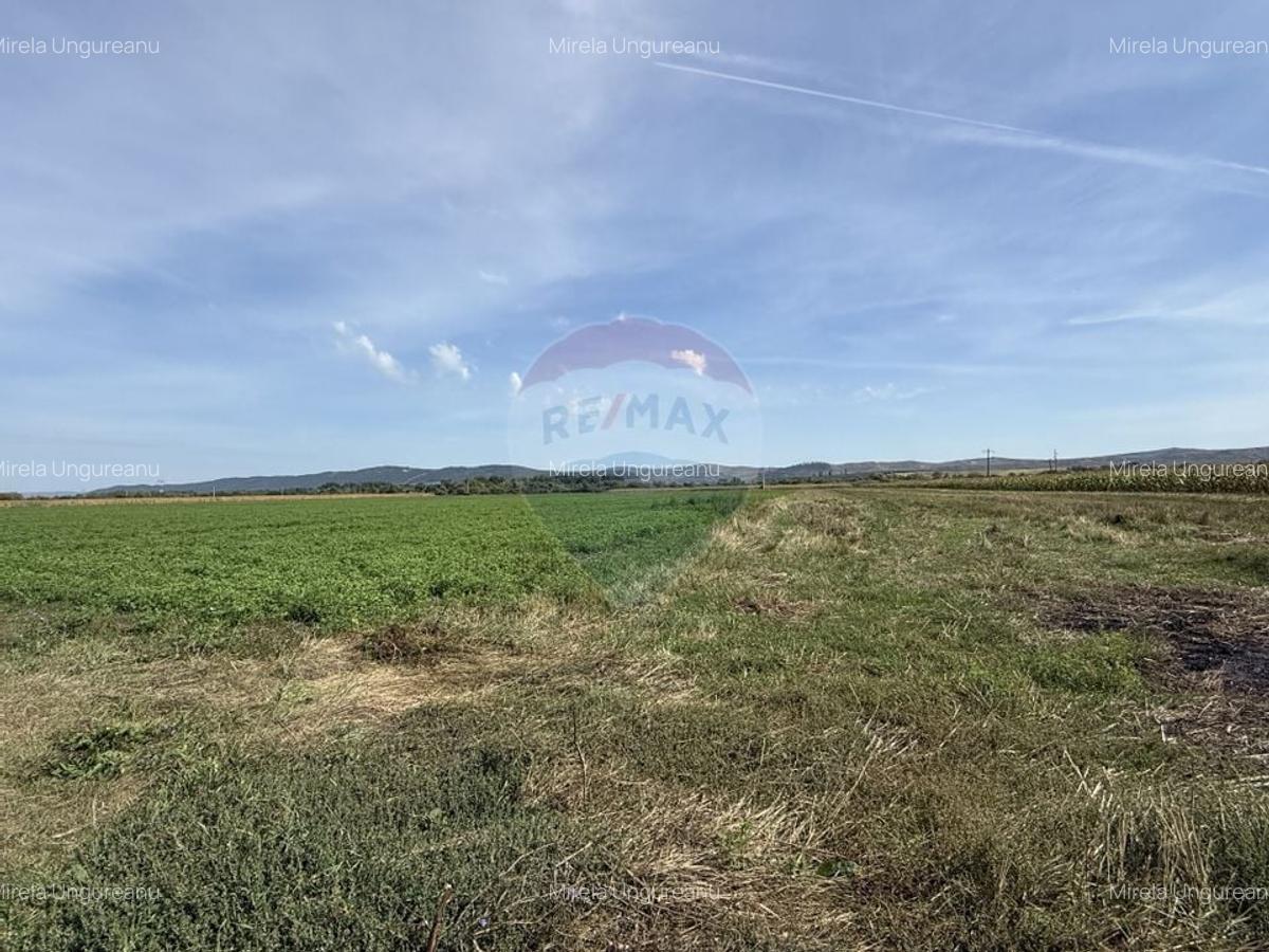 Teren Investitii 2.5 Ha | Zona Tetarom III Rascruci - 3