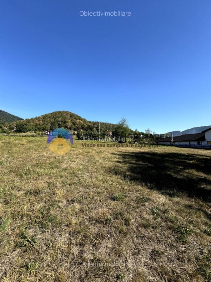 Teren comuna Alexandru cel Bun , drumul spre Bisericani - 7