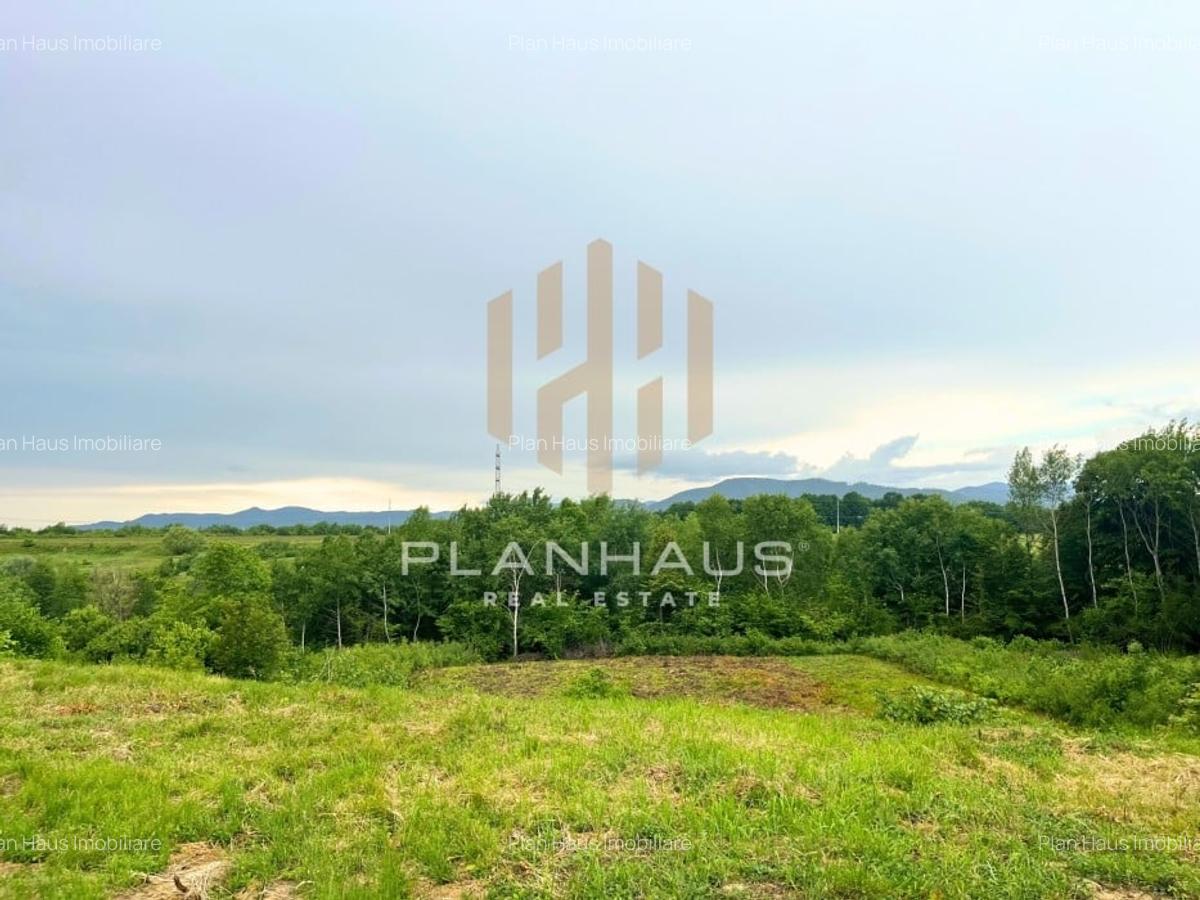 Teren intravilan 25 ari în Satu Nou de Jos - oportunitate excelentă - 4