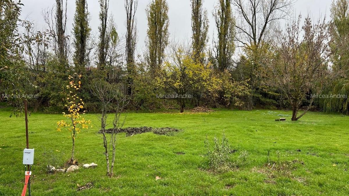 1176 mp | Teren liber | Ideal locuinta | Zona pazita |Pret Promotional - 8