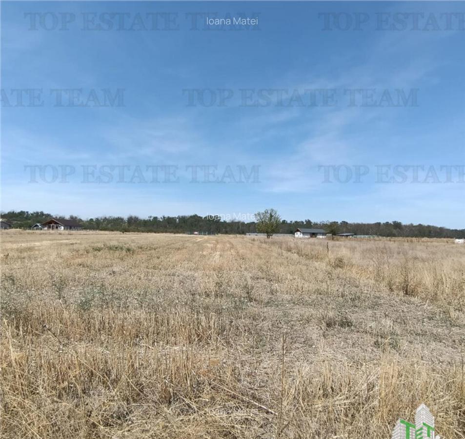 Teren intravila de / Pruni/ Magurele - 2