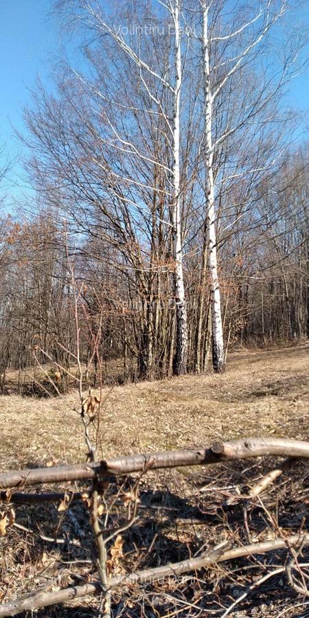 Teren Valiug 900-2400 mp acces auto utilita?i negociabil - 15