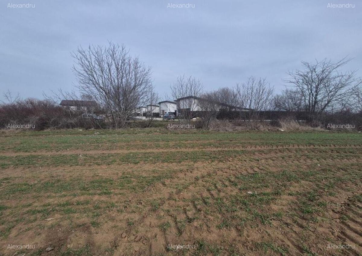 Teren intravilan ieftin Balotesti, 1100 mp, 25000 euro - 9