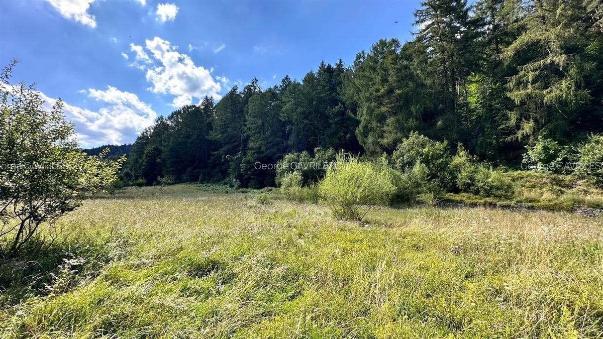 Teren Construcții intravilan de 4000 mp, în Brădet - 14