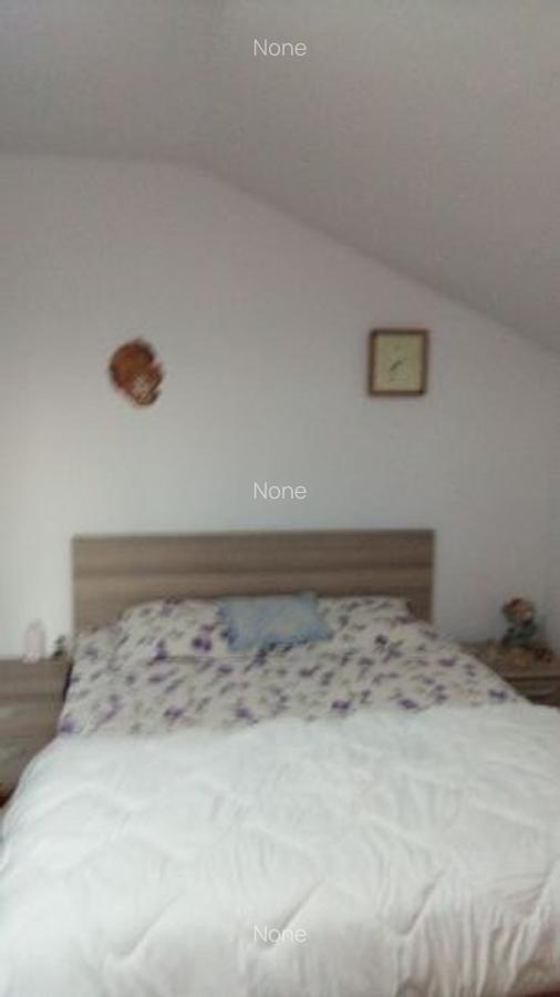 Casă cu 3 camere în Valu lui Traian - 5
