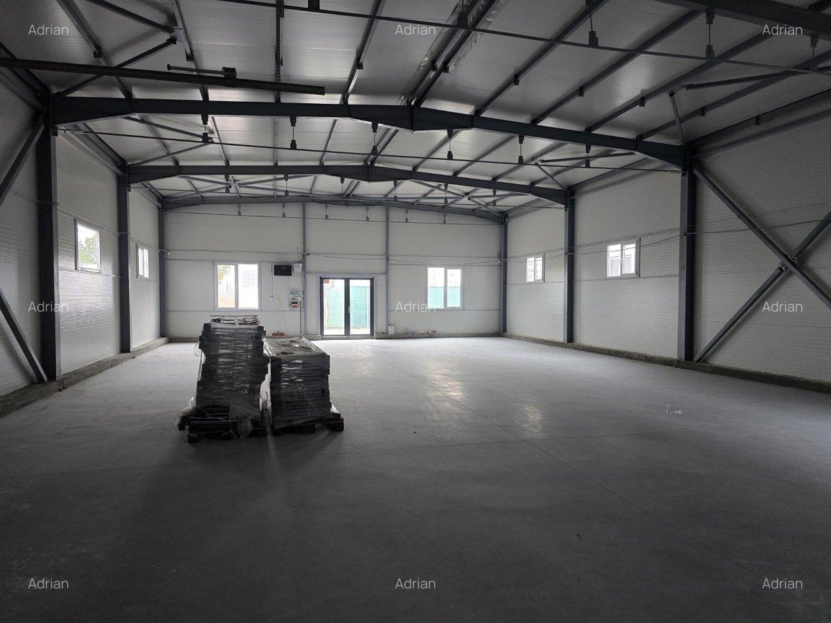 Pallady, hala depozitare si birouri in zona Pallady, 460 mp la 3200 euro - 9