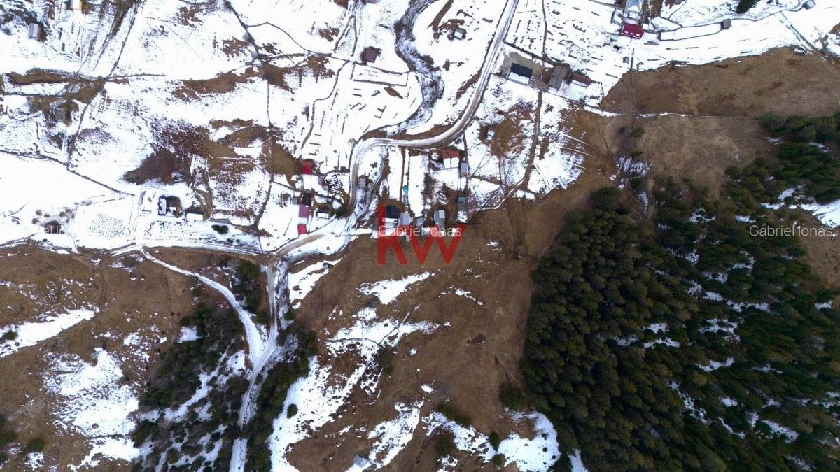 Teren Intravilan 11.844 MP, Breaza, Jud. Suceava - 6