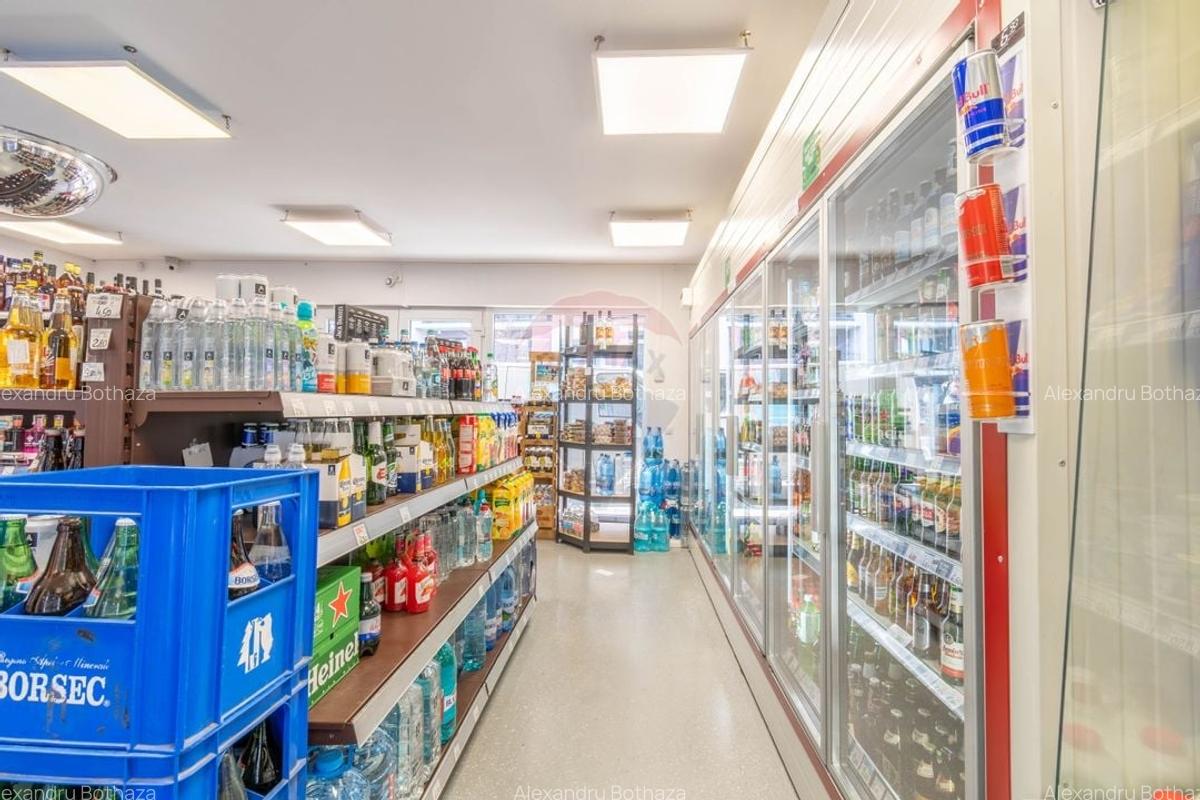 Spațiu comercial, 110 mp în Bună Ziua - 4