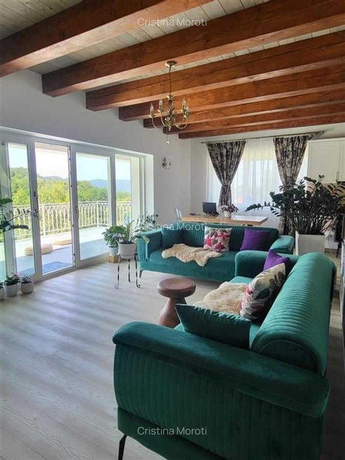 Acasa in Apuseni - 5