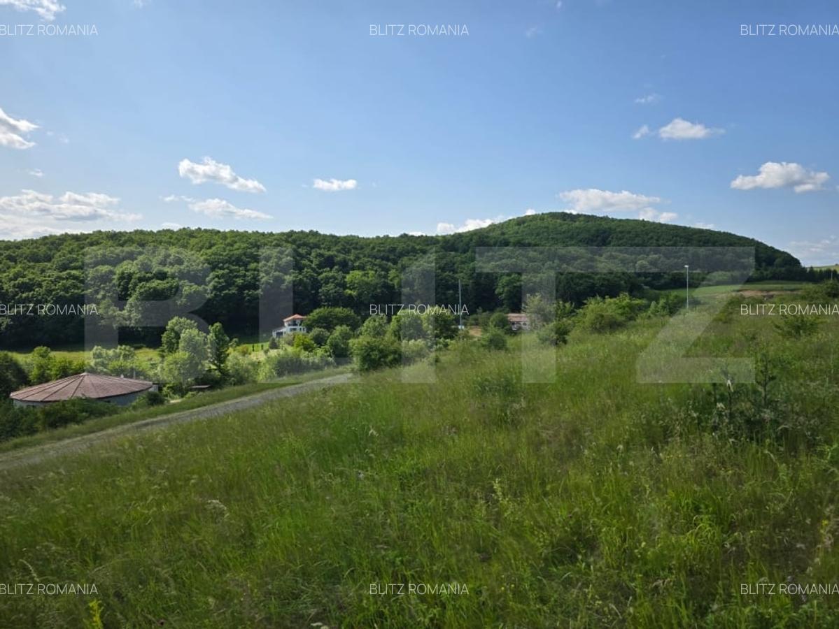 Teren potrivit pentru investitie in zona complexului Domeniul Regilor. - 4