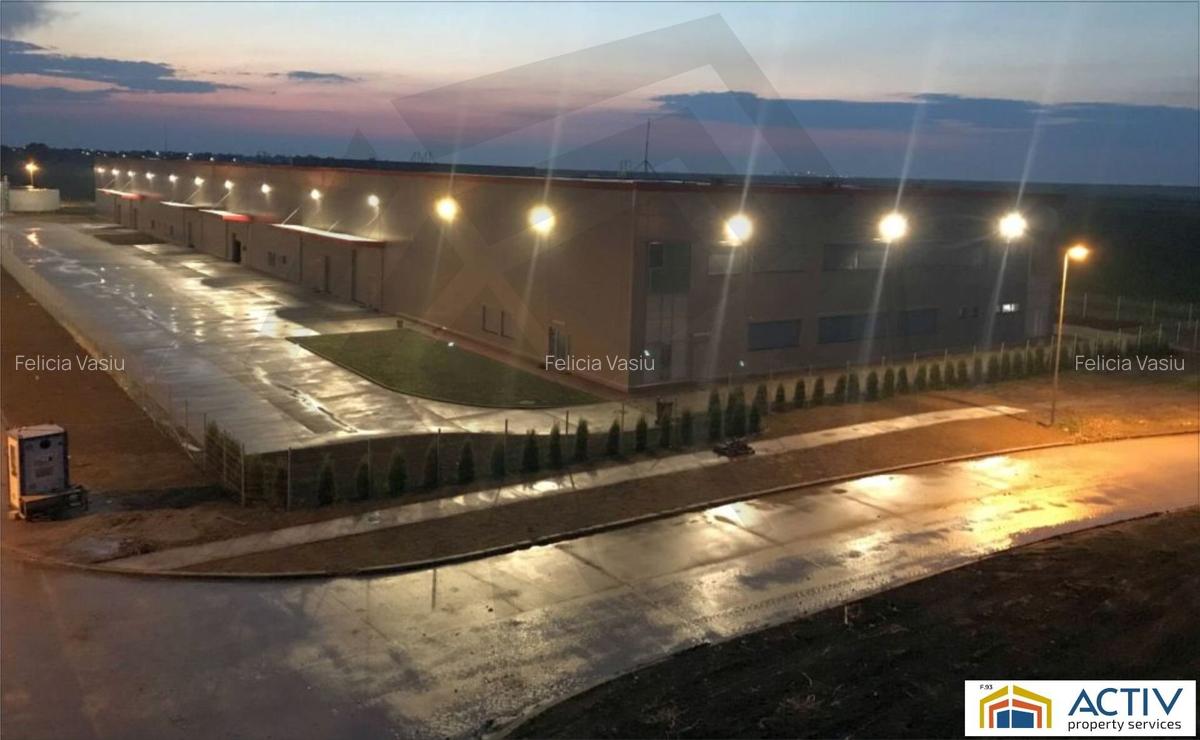 Inchiriere hala in cadrul Sânandrei Industrial Park - Timisoara - 2