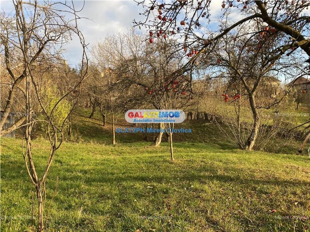 Teren Construcții intravilan de 4530 mp, în Secăria - 5