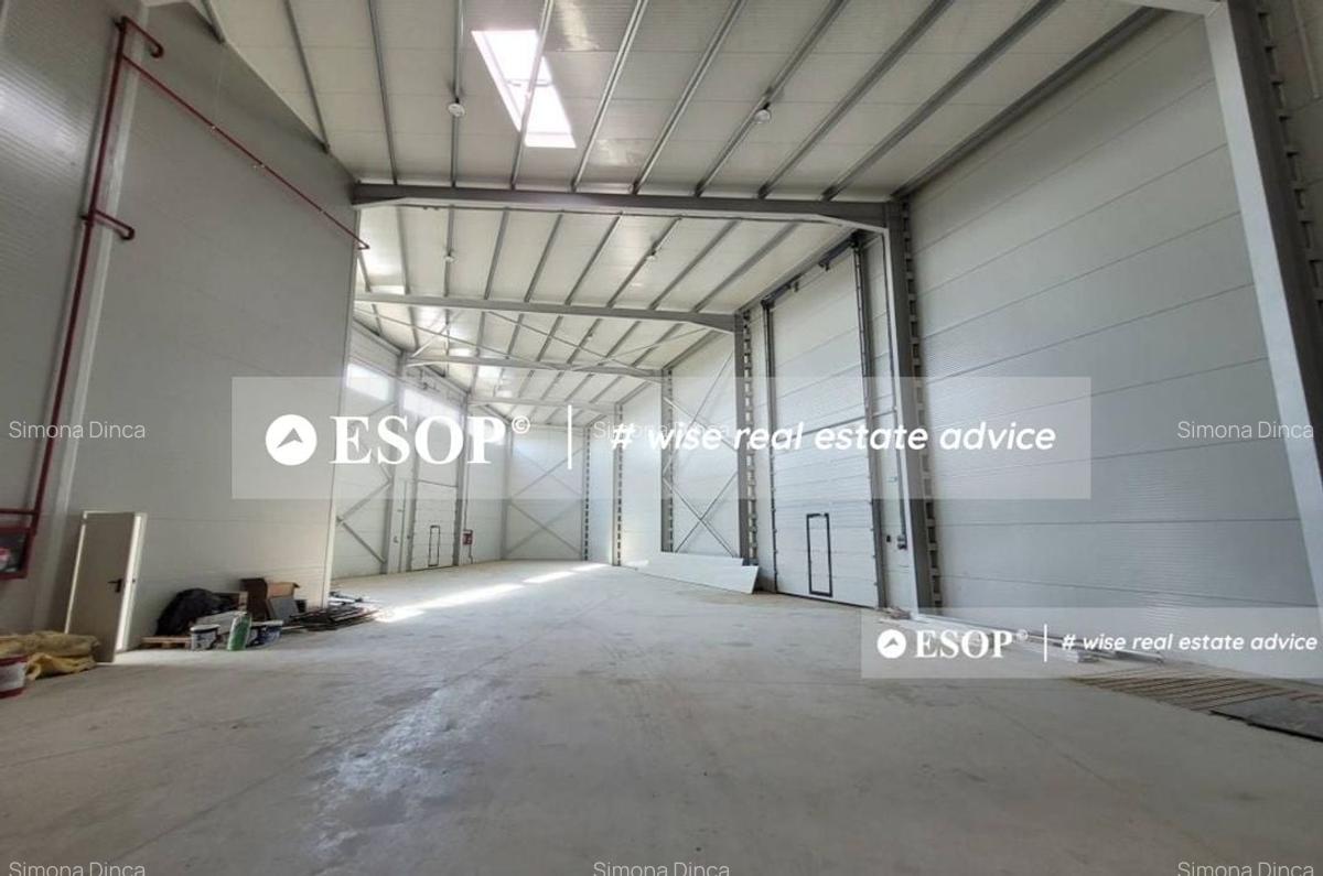 Hala de vanzare,  zona Mogosoaia, 1500mp, ID 15424, - 4