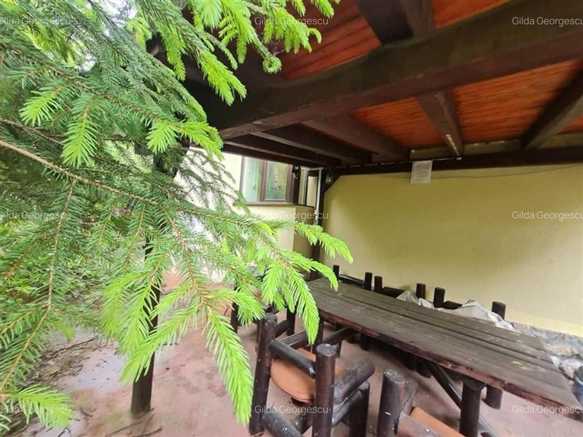 Tur LIVE! Refugiu in ambientul special al statiunii Poiana Brasov - 31