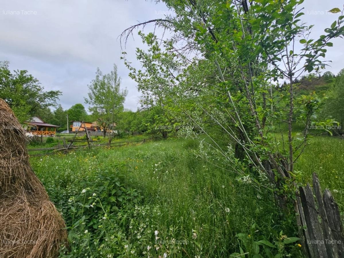 Teren Construcții intravilan de 1660 mp, în Valea Doftanei - 4