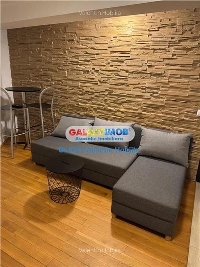 Inchiriere  vila 2 camere  curte proprie 50 mp  1 Mai Domenii - 5