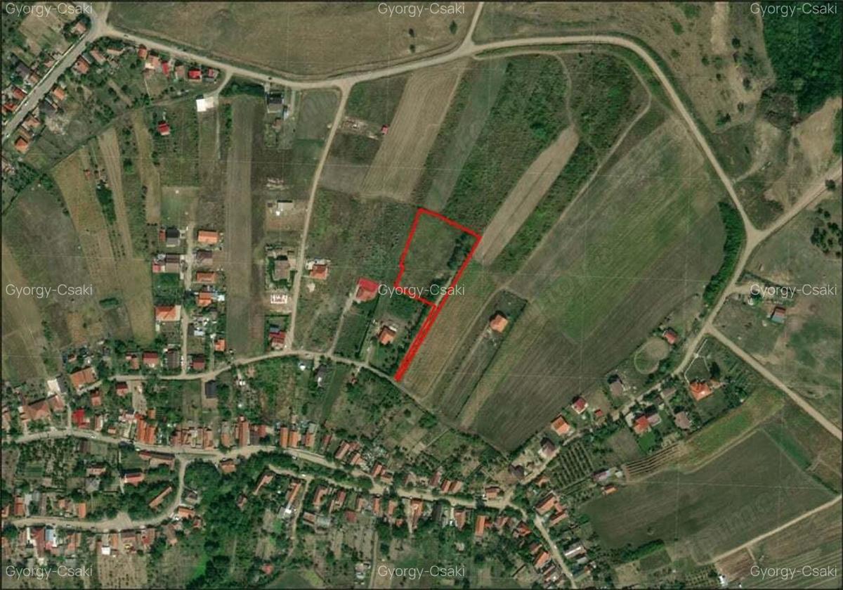 Teren intravilan - Saldabagiu de munte - 5000 mp. - IMOBIHOR - 2