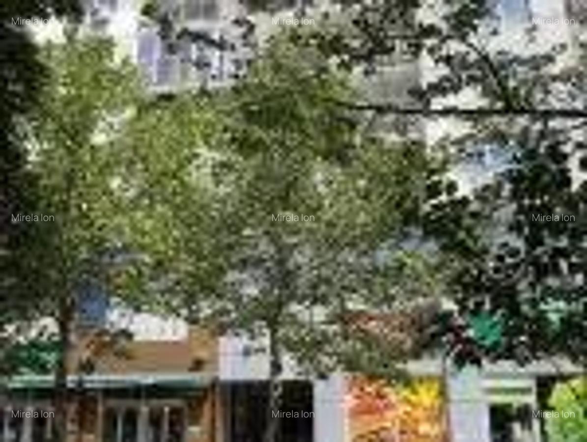 Vanzare Apartament 2 Camere 1 minut Bulevardul Decebal - 3