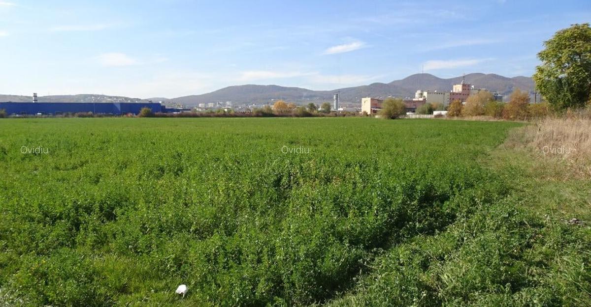 Vand teren intravilan in Deva suprafata totala 43 000 mp, zona Auchan - 8