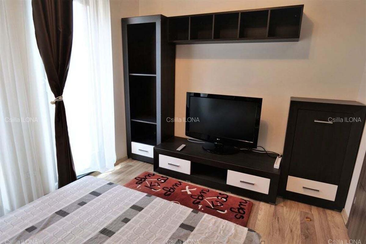 Casa/ Vila de inchiriat deosebit de atractiva - 29 Casa/ Vila de inchiriat deosebit de atractiva - 29