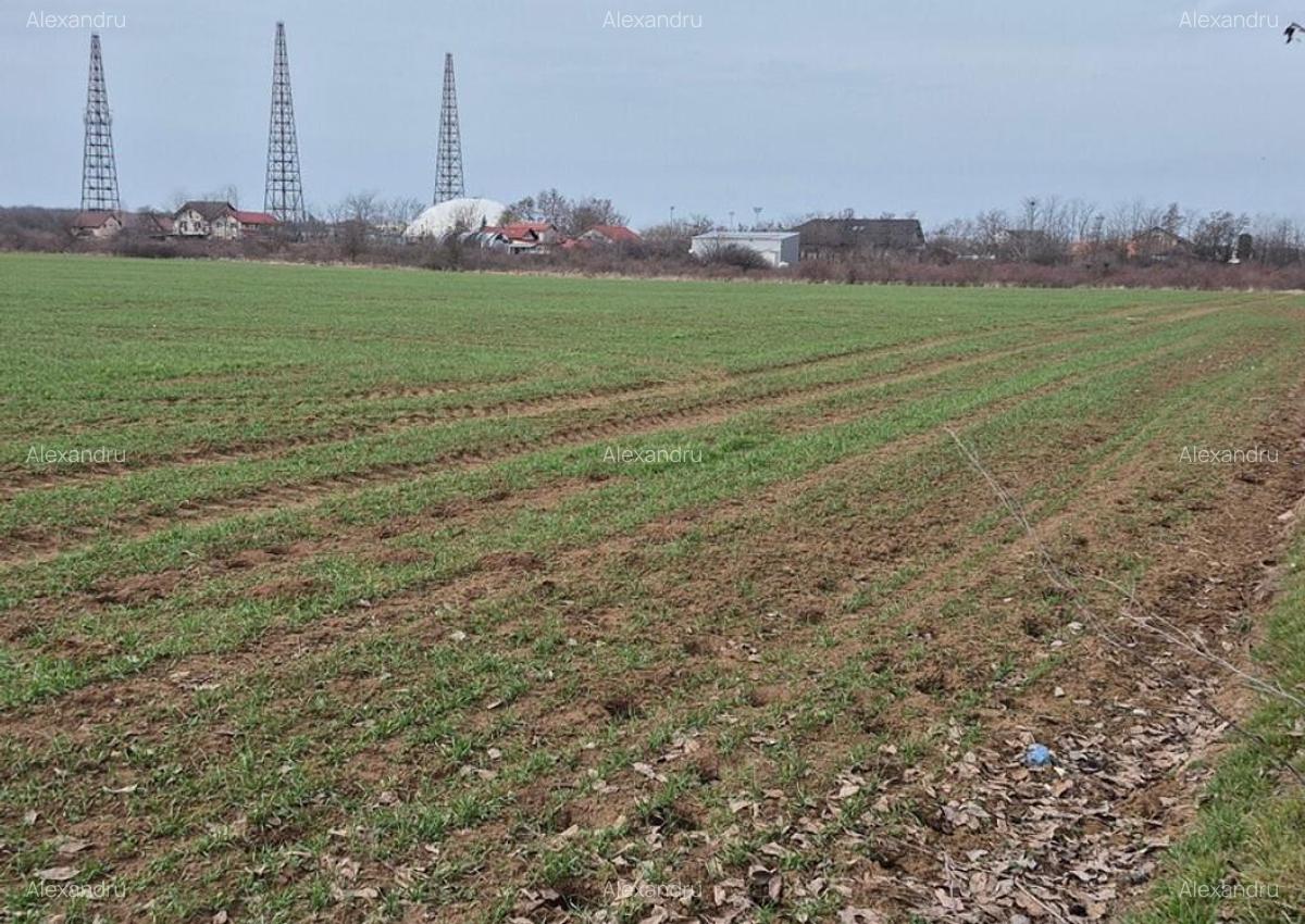 Teren intravilan ieftin Balotesti, 1100 mp, 25000 euro - 7