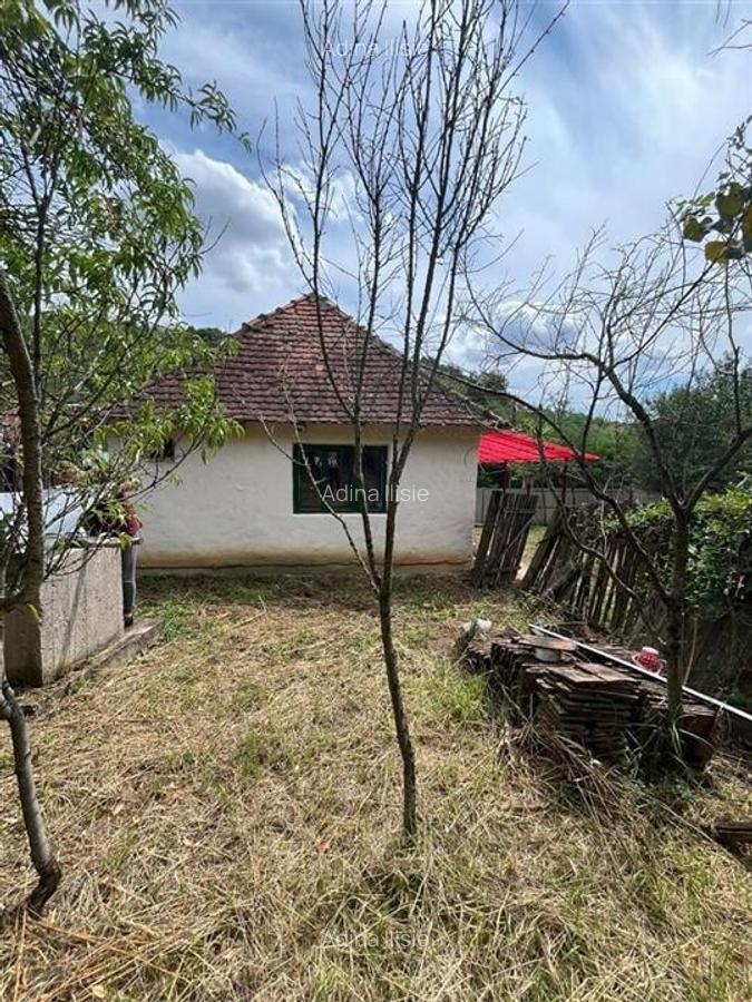 RECO Casa batraneasca cu teren generos la Lupoaia -Holod - 2