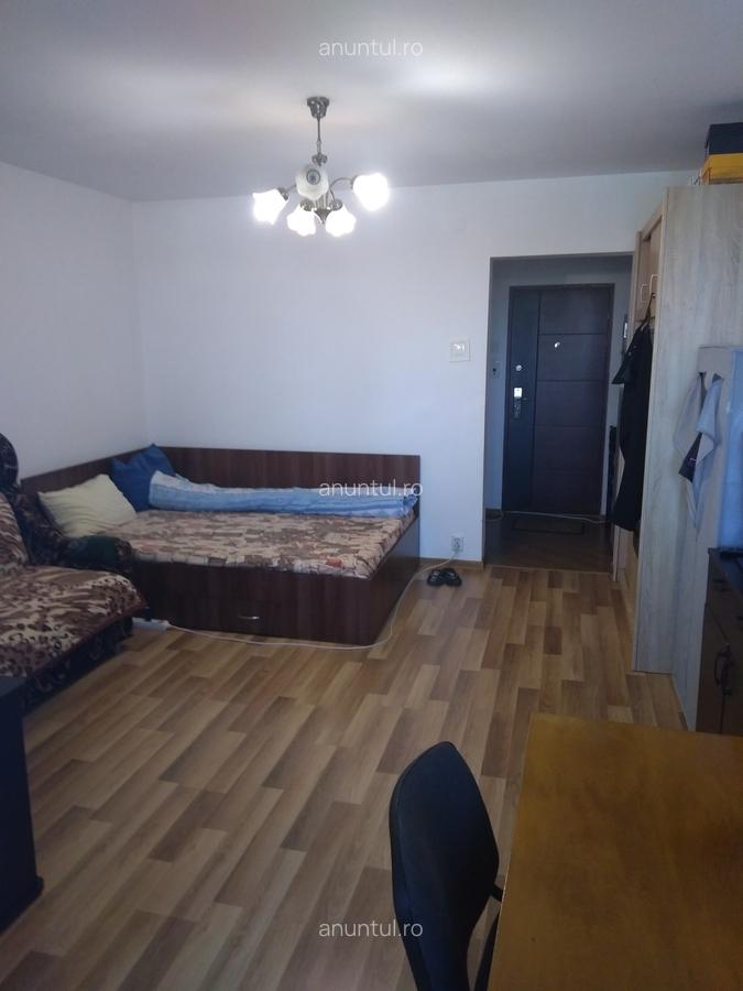 Camil Ressu, Park Lake, Piata Ramnicu Sarat - 1