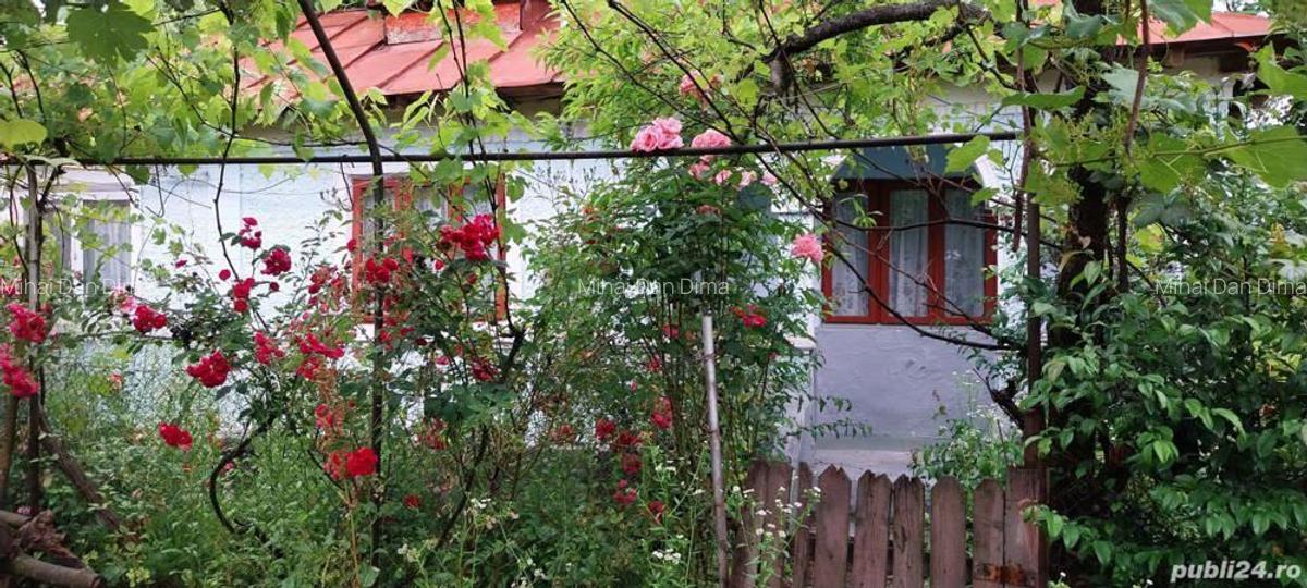 Vand casa Podenii Noi - 3