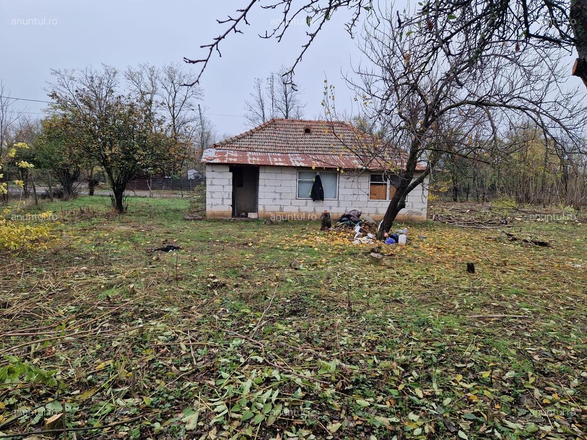 Dor Marunt, Calarasi - 8