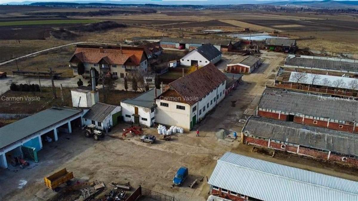 FILM! Complex agrozootehnic cu traditie, echipat + pretios potential multiplu, C - 48