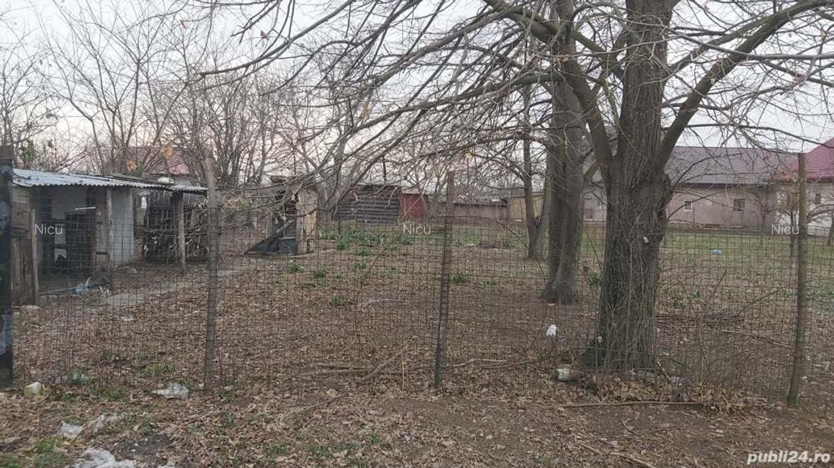 Vand casa cu curte in jud Calara?i - 9