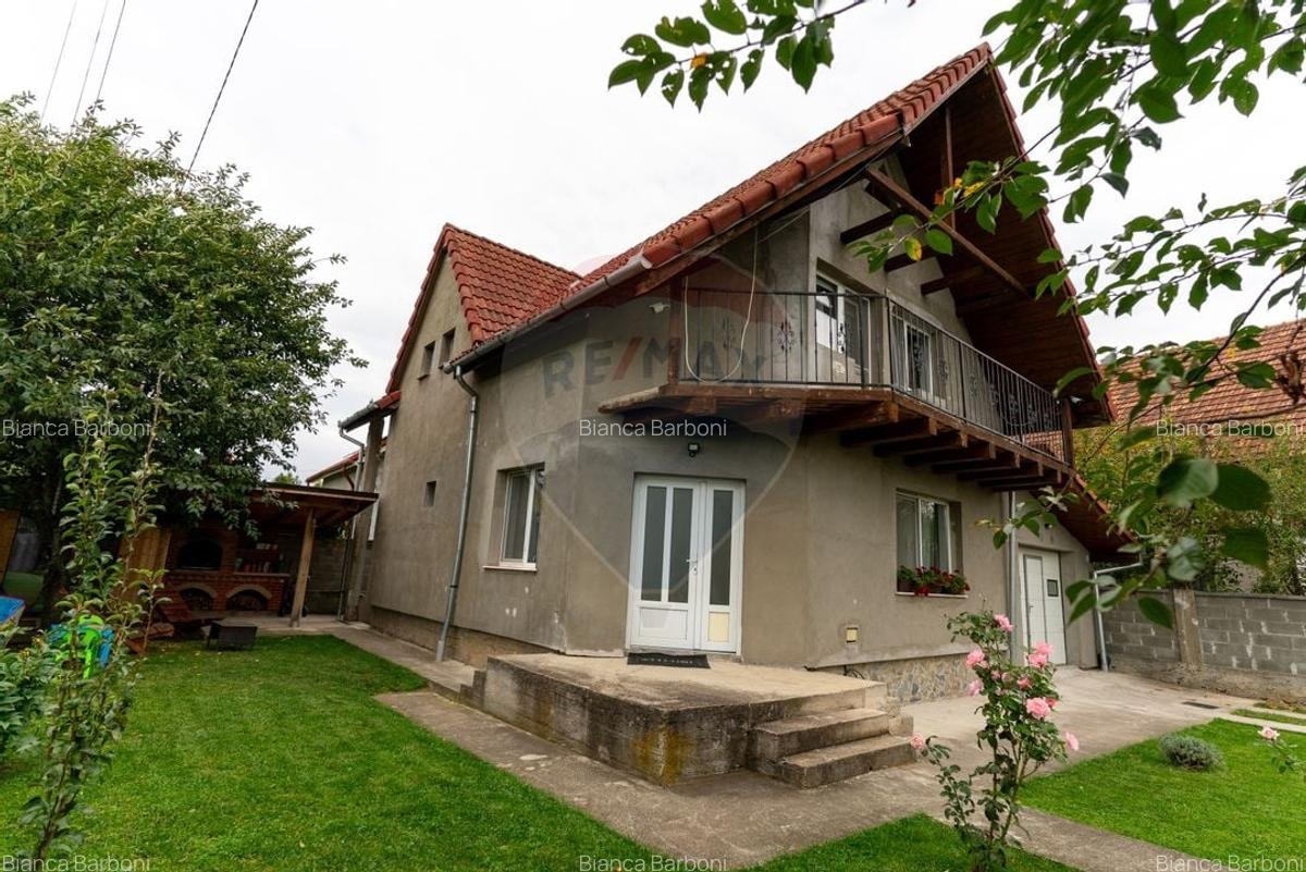 Casa / Vila deosebita de vanzare, Hateg jud. Hunedoara - 26