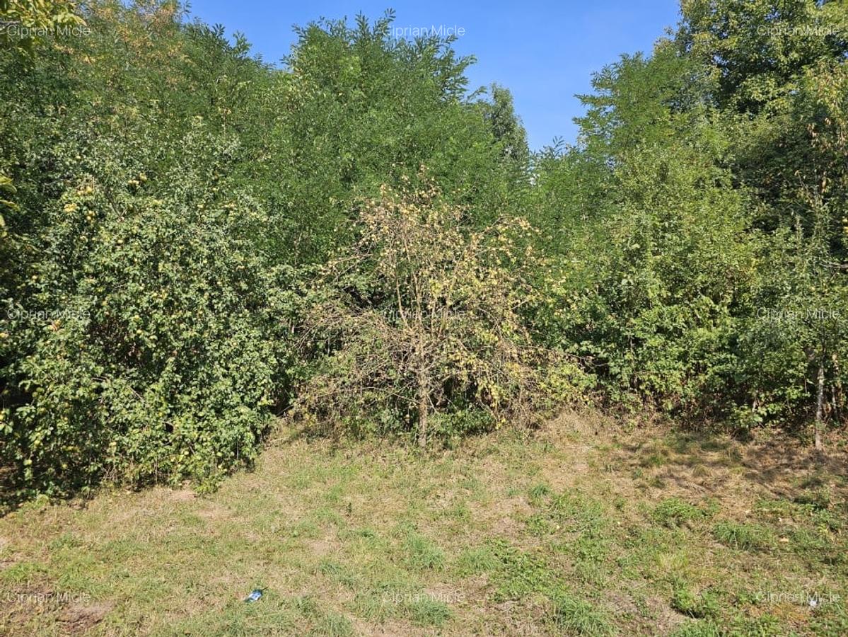 Casa de vacanta cu 4 camere +teren suprafata 2.043 mp, Calugari, Bihor - 5