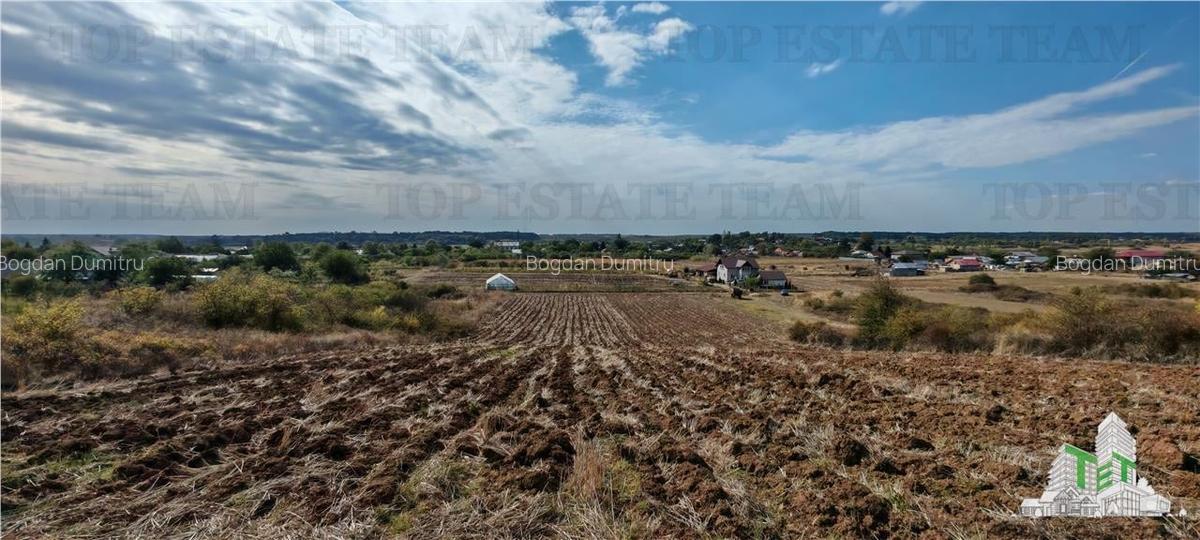Ferma 3,3ha, din care 2,5ha intravilan, vila 7 camere, D+P+E+M, casa pentru munc - 7