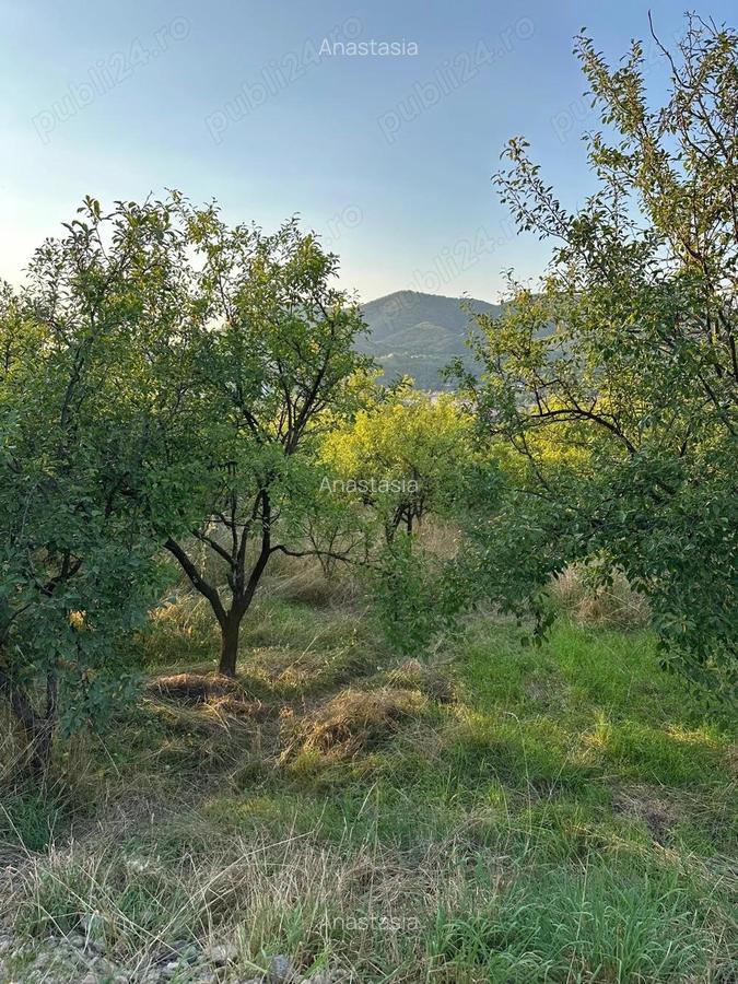 Teren intravilan 1.000 mp loca?ie deosebita, priveli?te ?i lini?te Simleu Silvaniei - 3