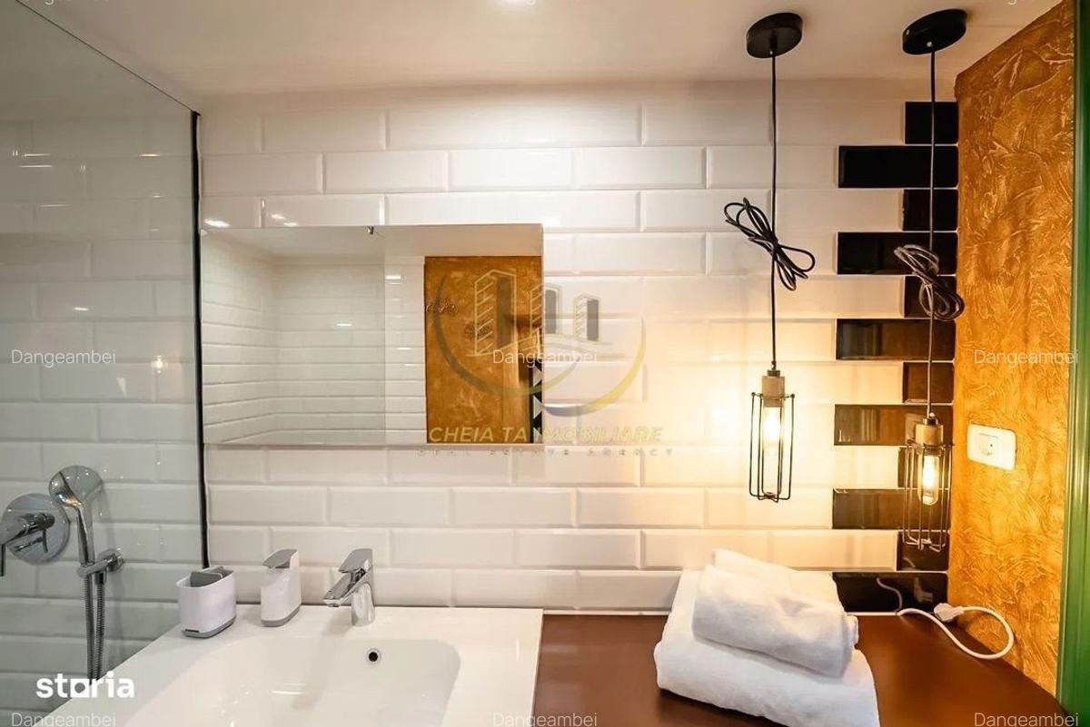 Două Apartamente pe Ferdinand, Pregătite ptr Regim Hotelier / Airbnb - 9