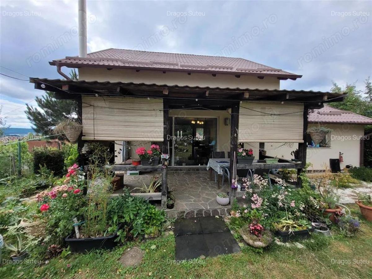 Casa 4 camere , Livezeni , Orizont , 10 ari teren - 3