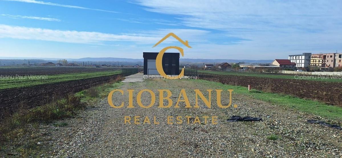 Hala de vanzare in Racari de Jos - 18