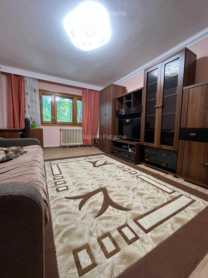 Apartament cu 3 camere Nicolina - 1