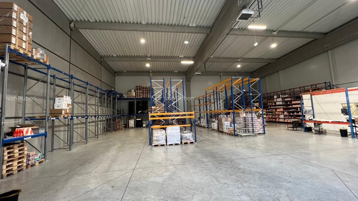 Hale de inchiriat Timisoara, Giarmata - 3