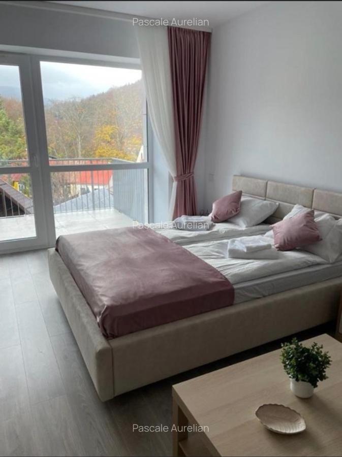 Studio Sinaia cu vedere spre munte - 13 Studio Sinaia cu vedere spre munte - 13
