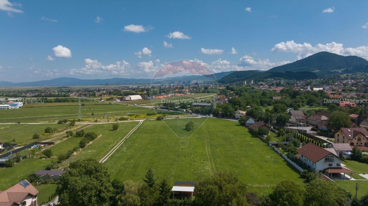 Lot de casa intrare Sacele -Strada Iernii, 640mp - 5