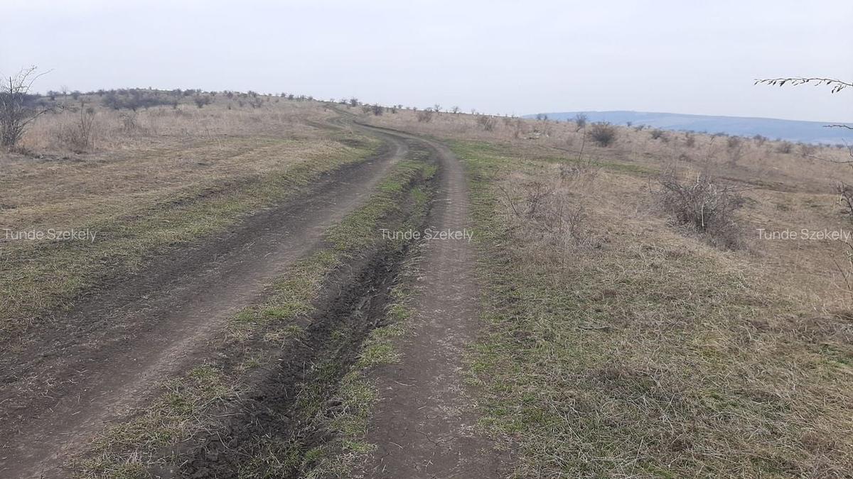 Teren agricol pentru investitii, zona Valea Calda -Iris - 11