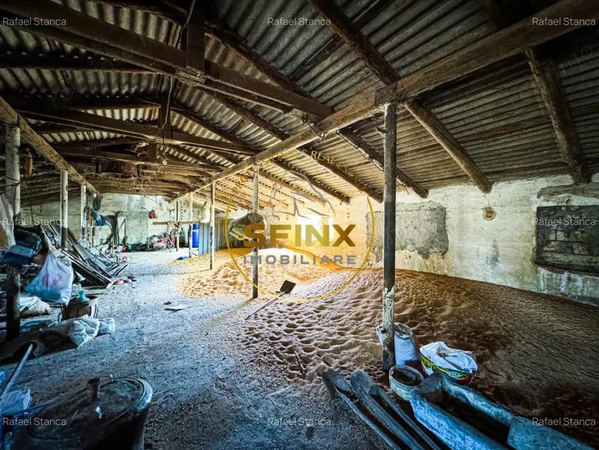 Teren intravilan cu potential de investitie 62000mp - 6