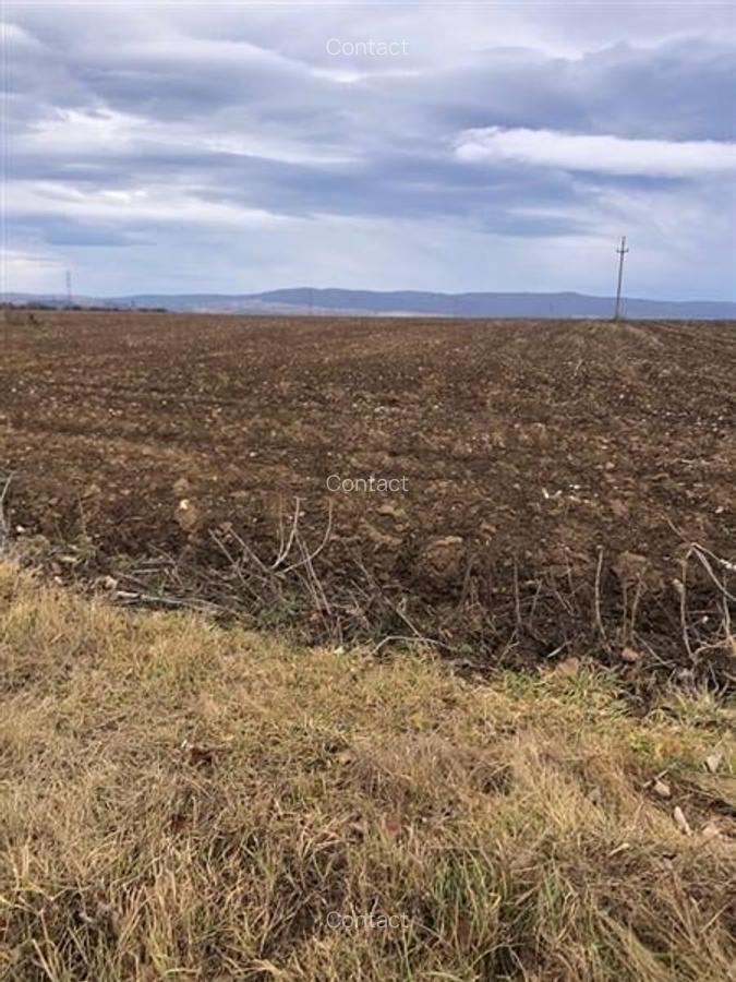 Teren pentru business 6300 MP Bucium la strada principala - 2