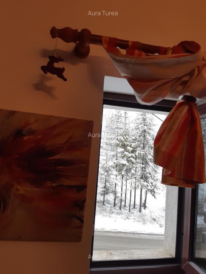 Predeal-Apartament mobilat si utilat - 9
