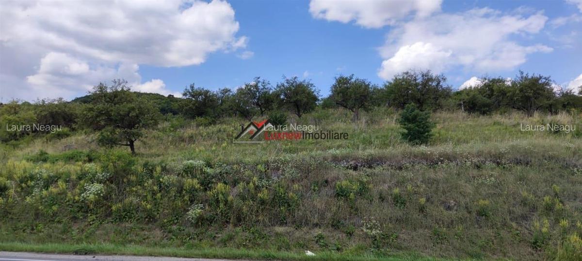 Reducere de pret! 2500 mp teren intravilan iesire Baciu pe partea cu livada la d - 1