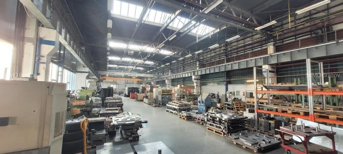 Hale de 270 - 370 mp in Parcul Industrial Roman pt. productie, depozitare - 3