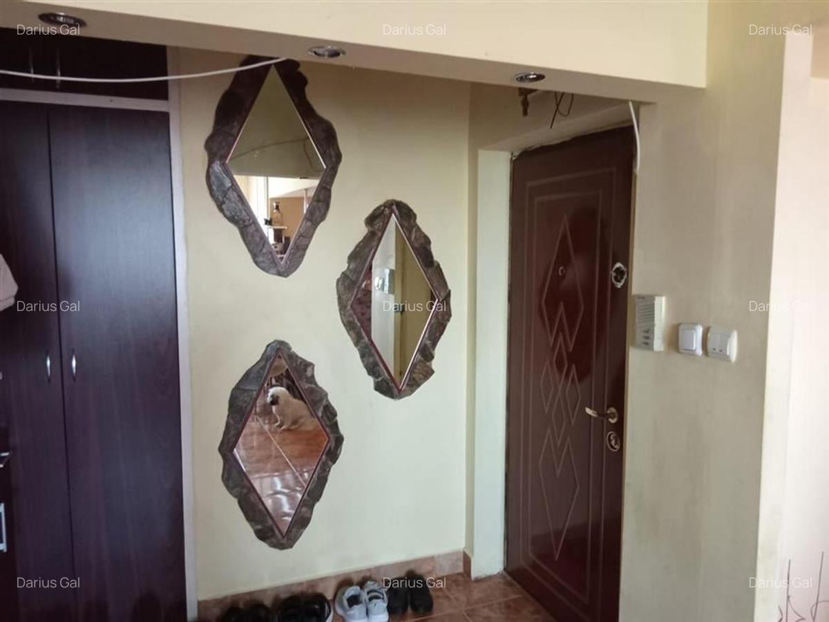 Apartament cu 3 camere decomandat în Nufărul - 2
