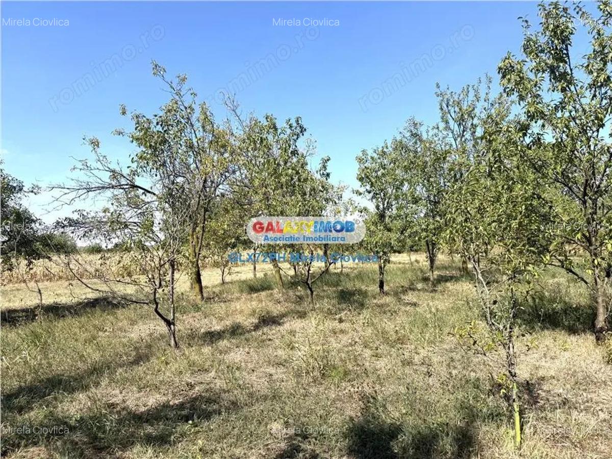 Vanzare teren intravilan Baicoi Central - 3 Vanzare teren intravilan Baicoi Central - 3